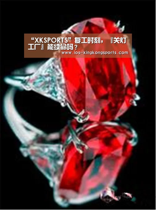 “XKSPORTS”复工时刻,『关灯工厂』能续命吗?(图2) “XKSPORTS”复工时刻,『关灯工厂』能续命吗?(图2)