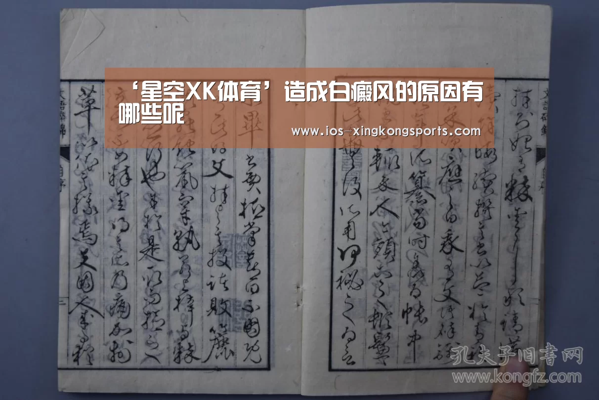 XK星空体育