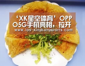 ‘XK星空体育’OPPO5G手机亮相,拉开移动产业的再次变革(图3) 星空XK体育